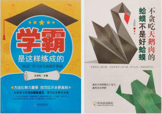 国际遗传工程和生物技术中心高级研究员、“两高学习法”创始人王启松