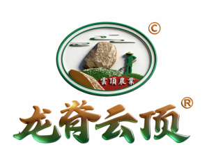 龙胜云顶农业开发有限公司创始人伍庆泽