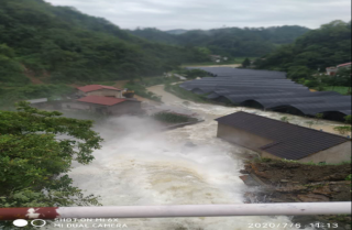 游婕：澧水河畔育灵药，雁归故里惠民生
