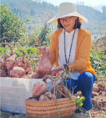 章玉岩：玉蕴初心耕沃野 ，岩承使命润乡关